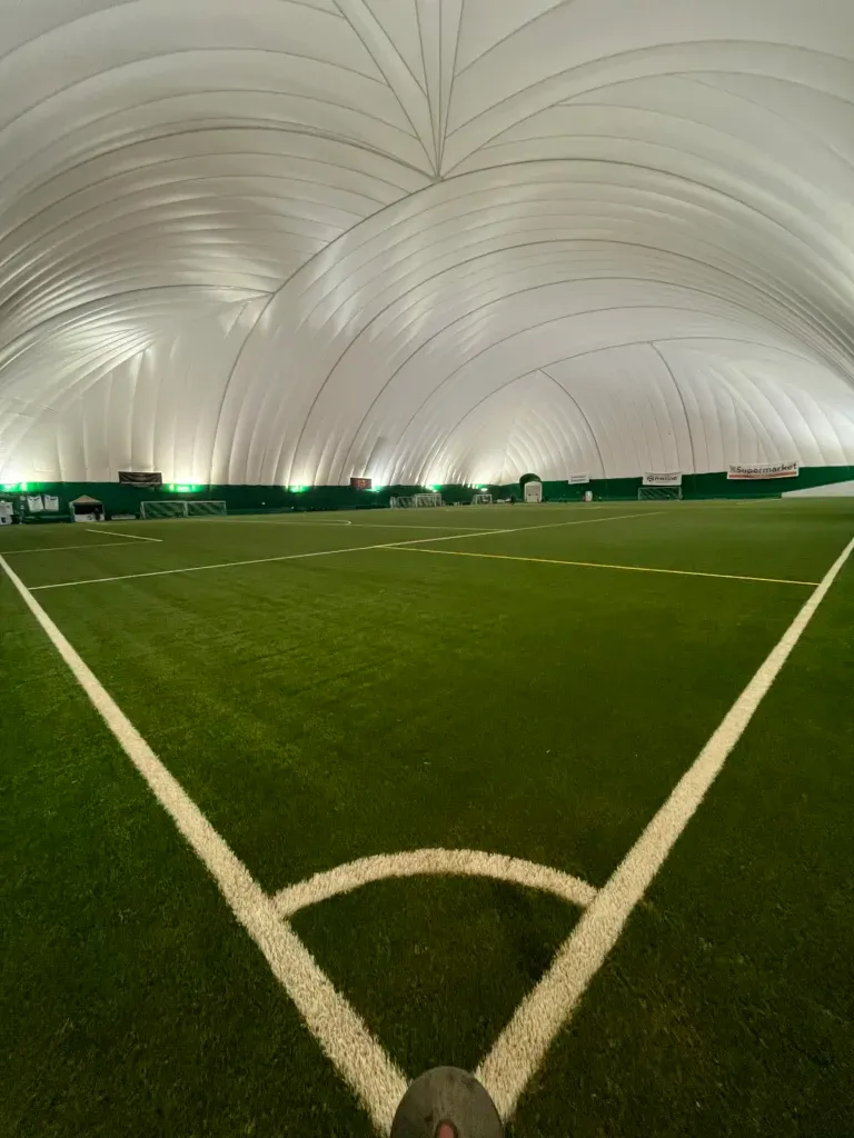 Artificial grass brushing